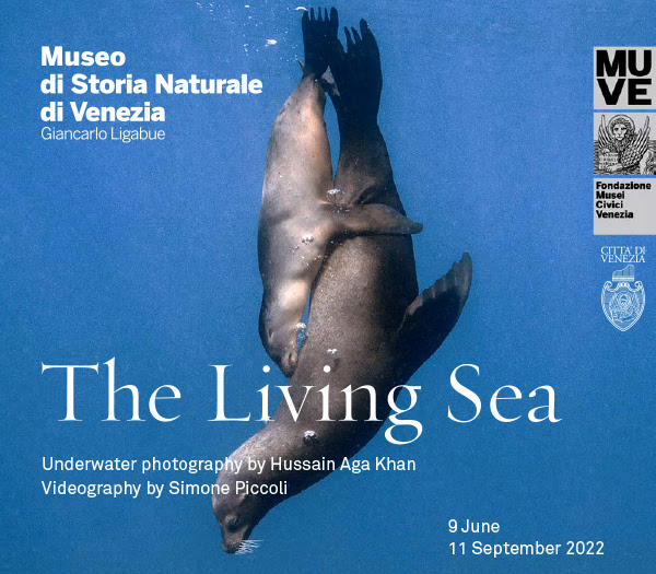 Mostra The Living Sea - Il Mare Vivo
